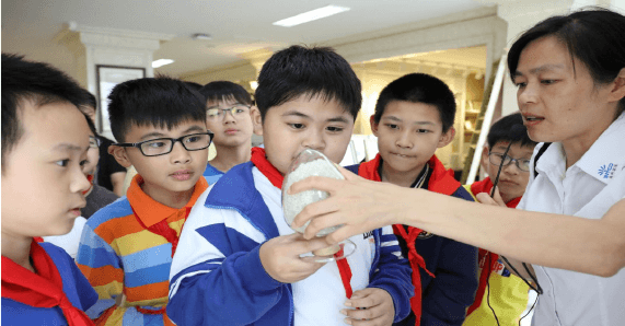 江海小学学生在上海金年会实业有限公司展厅参观再生塑料粒子